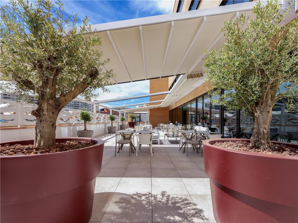 Alameda Centro Affiliated By Melia Hotel 4*